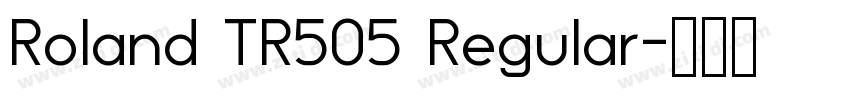 Roland TR505 Regular字体转换